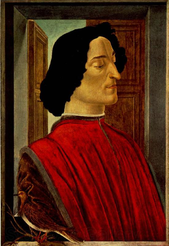 BOTTICELLI, Sandro Giuliano de  Medici Norge oil painting art